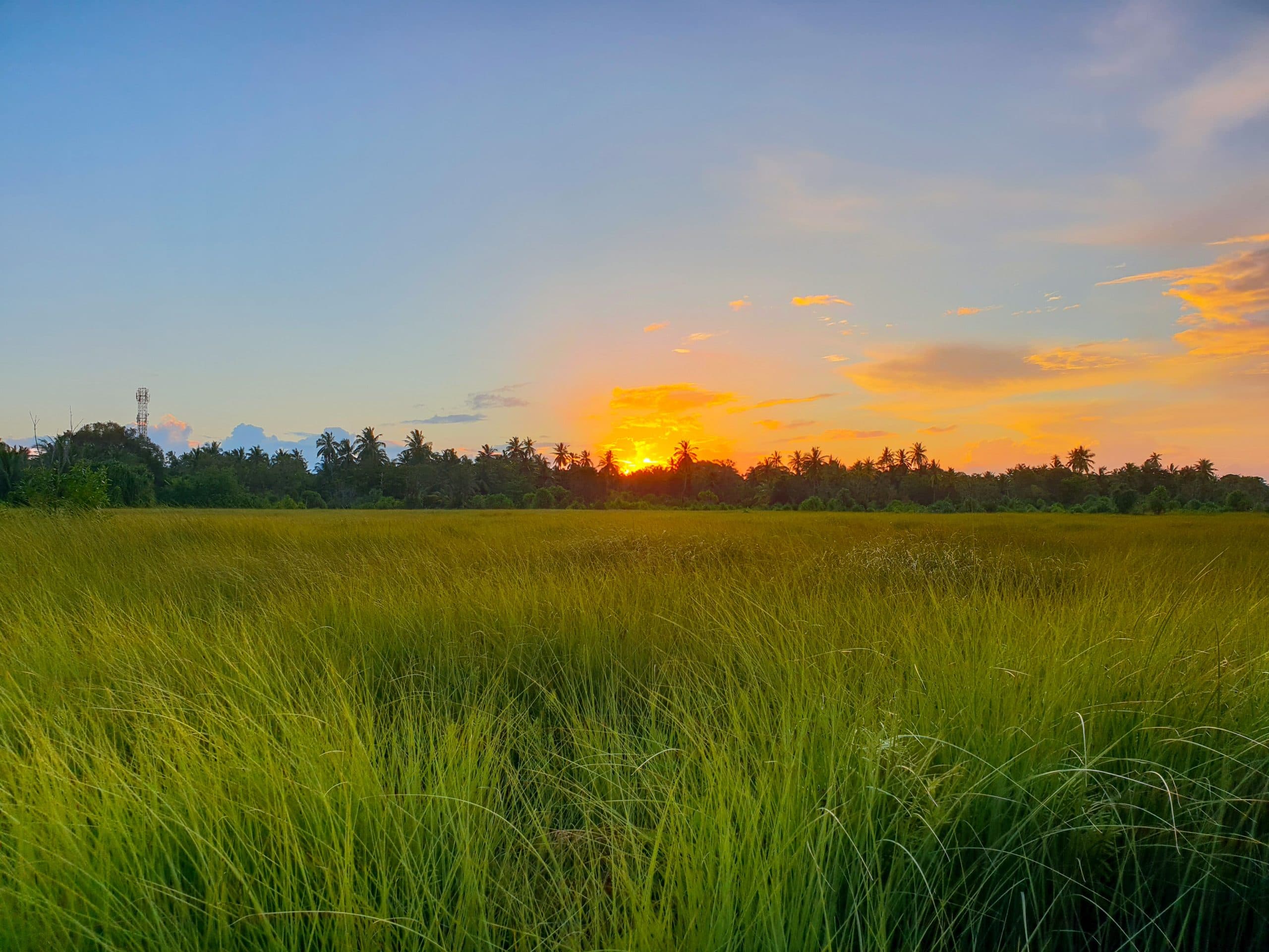 Freshwater lake in Fuvahmulah