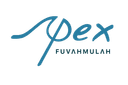 Apex Logo